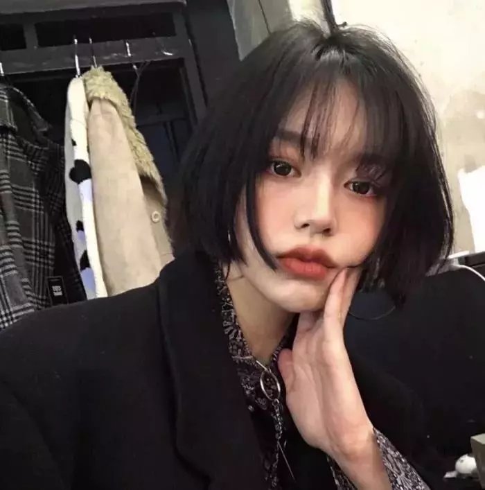 豪客 在线观看封面